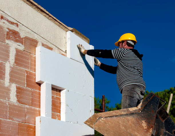 Best Residential Insulation Services  in Pontoon Beach, IL