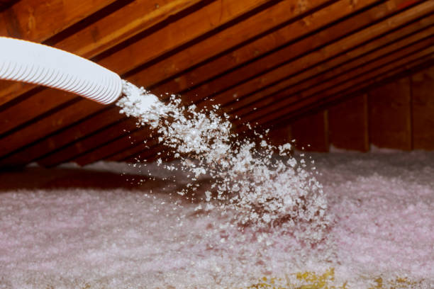 Best Fiberglass Insulation  in Pontoon Beach, IL