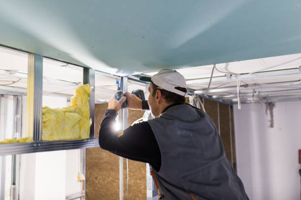 Best Affordable Insulation Services  in Pontoon Beach, IL