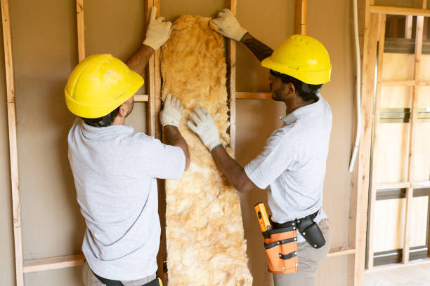 Best Insulation Replacement Services  in Pontoon Beach, IL