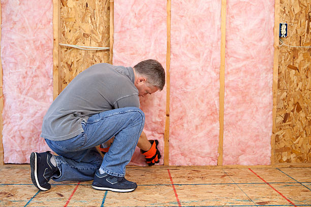 Best Attic Insulation Installation  in Pontoon Beach, IL