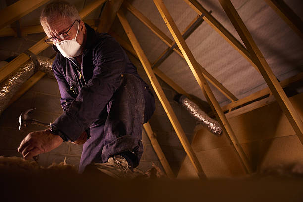Best Insulation Repair Services  in Pontoon Beach, IL